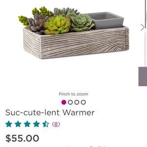 Scentsy Rustic Wood and Green Succulent Warmer